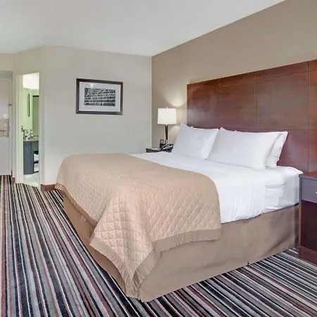 Wyndham Garden Charlotte Airport Southeast Hotel Exterior photo